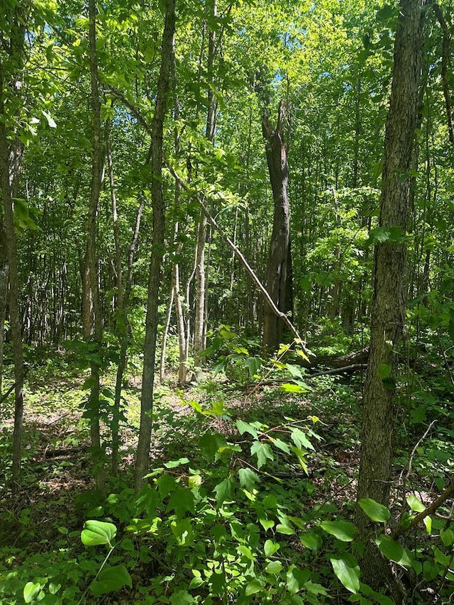 LOT239 Hood Ln, Wilder, TN 38589 - photo 5
