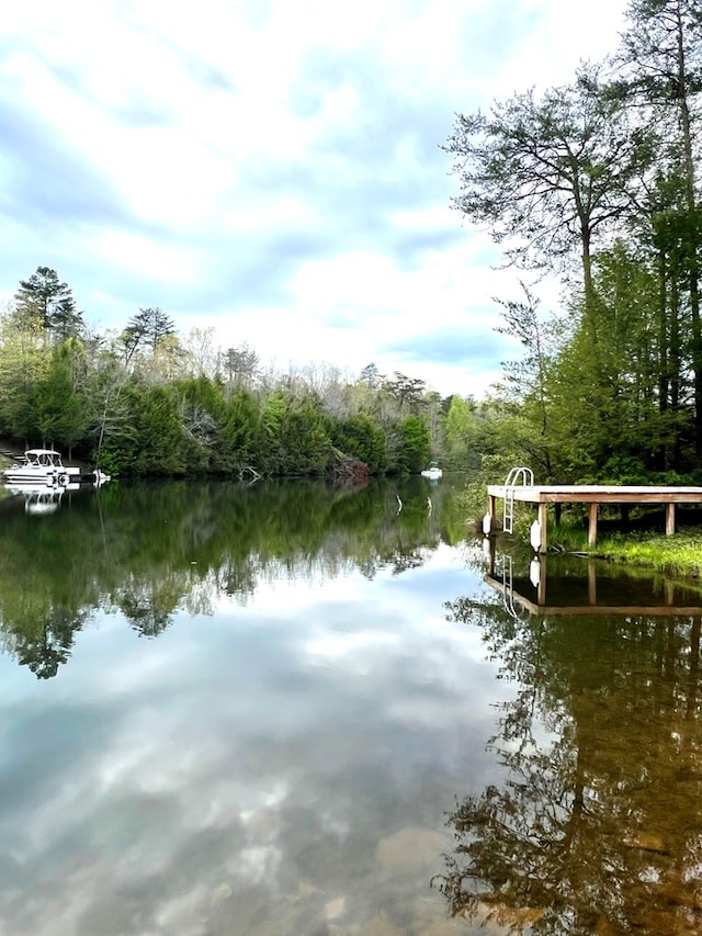 LOT16 Austin Dr, Monterey, TN 38574 - photo 4