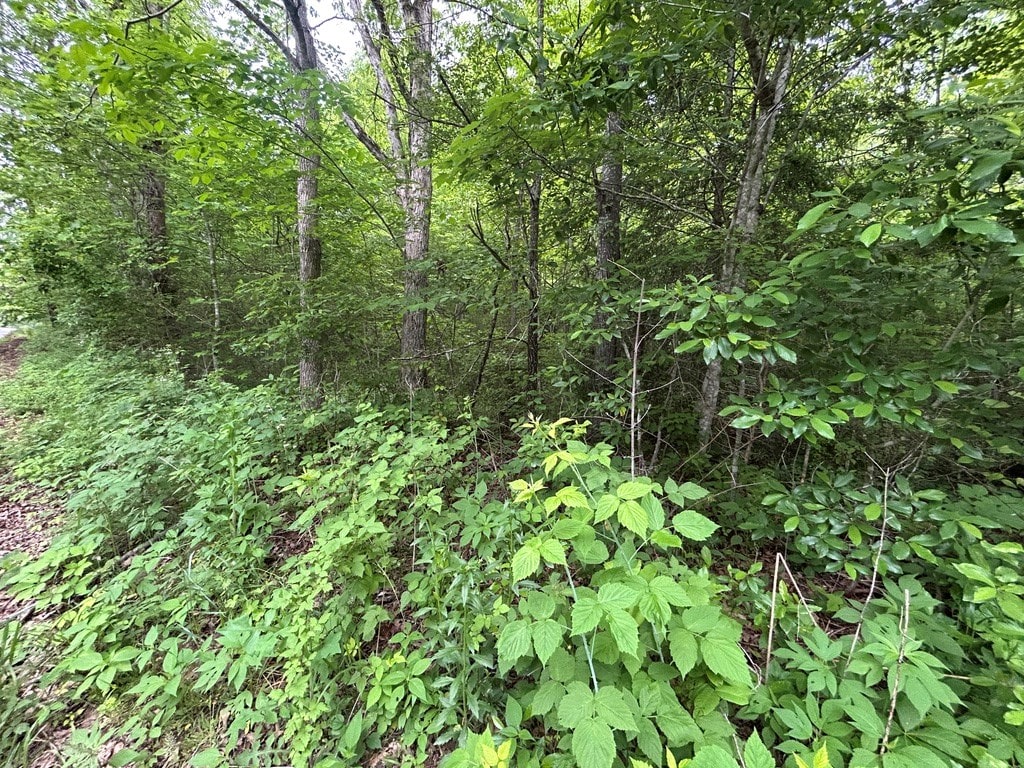 N/A Hensley Rd, Jamestown, TN 38556