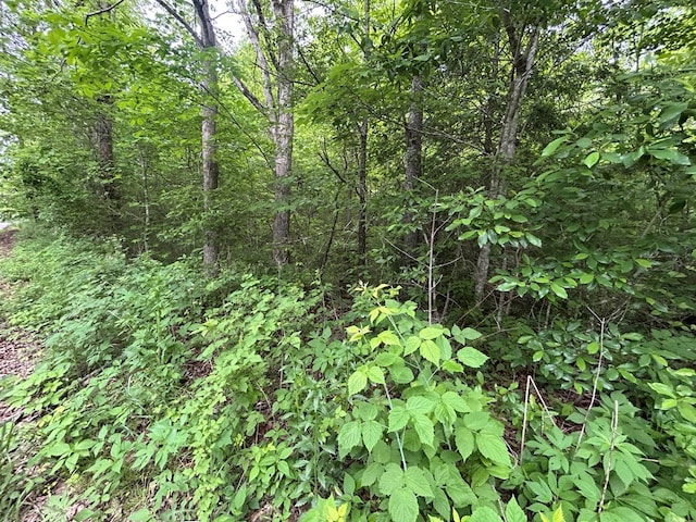 N/A Hensley Rd, Jamestown, TN 38556