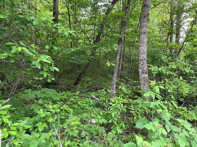 N/A Hensley Rd, Jamestown, TN 38556