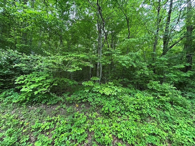 N/A Hensley Rd, Jamestown, TN 38556