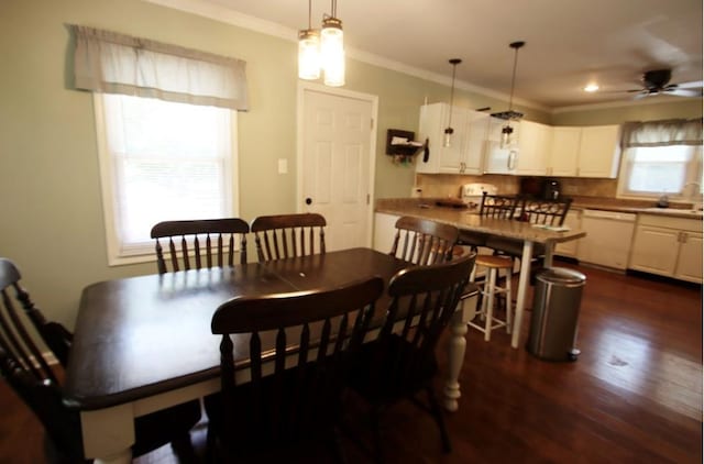 dining room featuring ceiling fan, dark wood finished floors, and crown molding