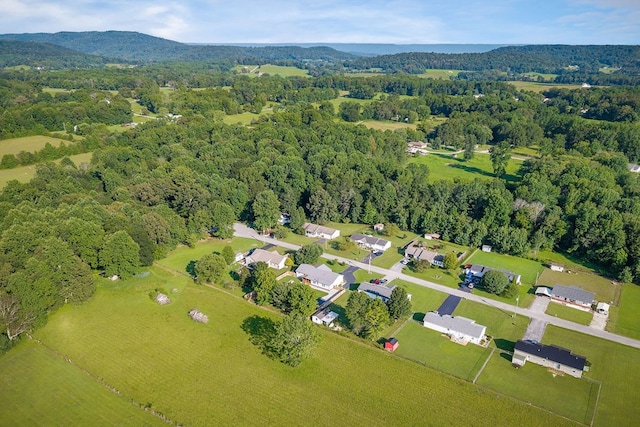 215 Walnut Trce, Sparta, TN 38583 - photo 55