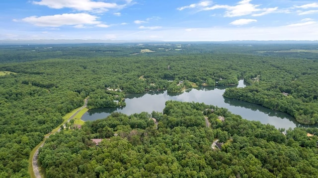 1.09AC N Lake Trl, Monterey, TN 38574