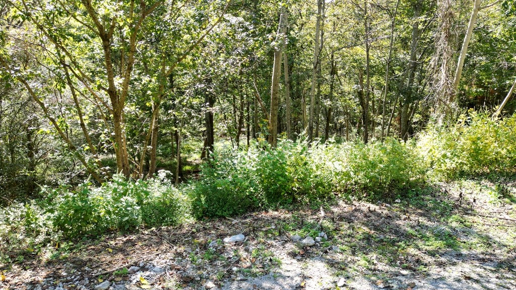 0 Eli Ln, Baxter, TN 38544 - photo 3