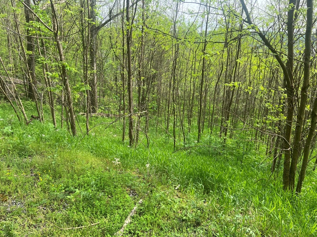 0 Eli Ln, Baxter, TN 38544 - photo 2