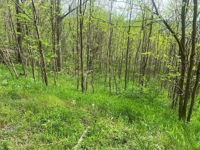 0 Eli Ln, Baxter, TN 38544 - photo 2