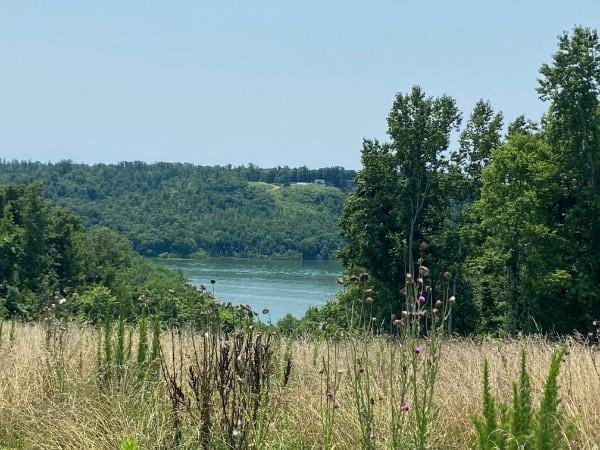 0 Eli Ln, Baxter, TN 38544 - photo 1