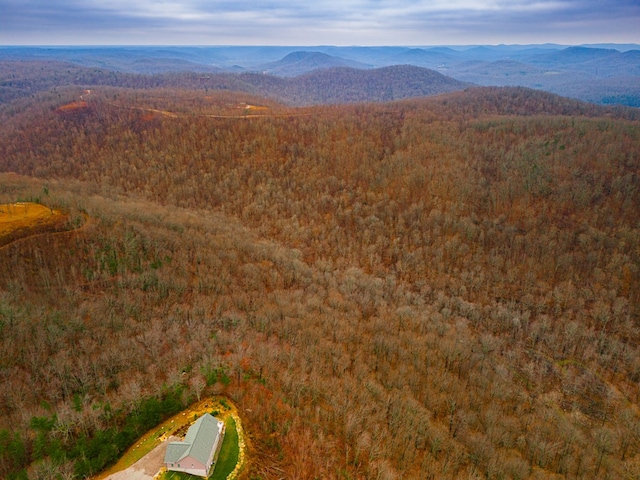 10AC Bear Knob Ln, Crawford, TN 38554