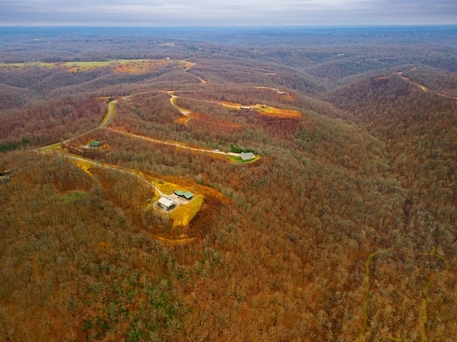 10AC Bear Knob Ln, Crawford, TN 38554