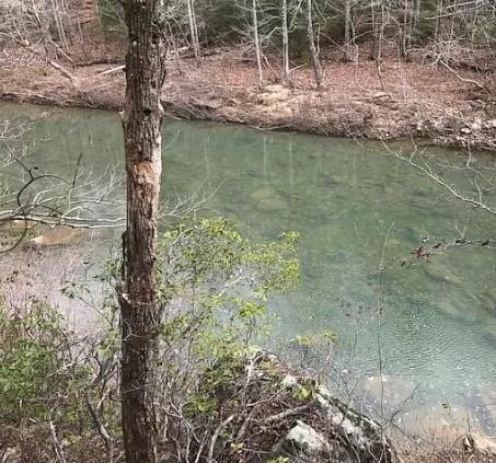 LOT21 E Bobcat Ln, Wilder, TN 38589 - photo 1