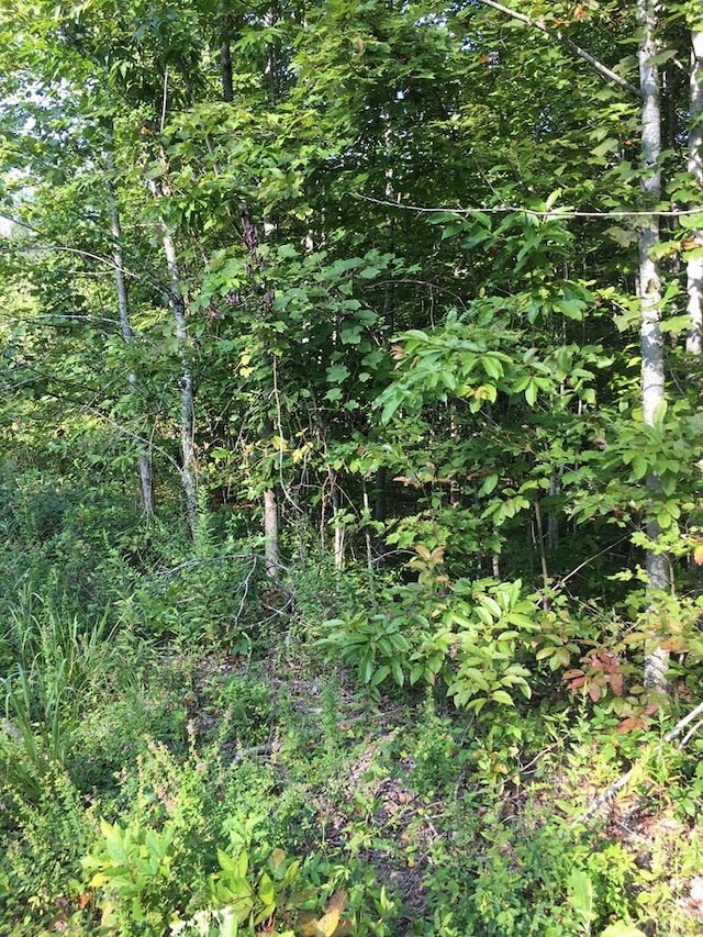 LOT21 E Bobcat Ln, Wilder, TN 38589 - photo 6