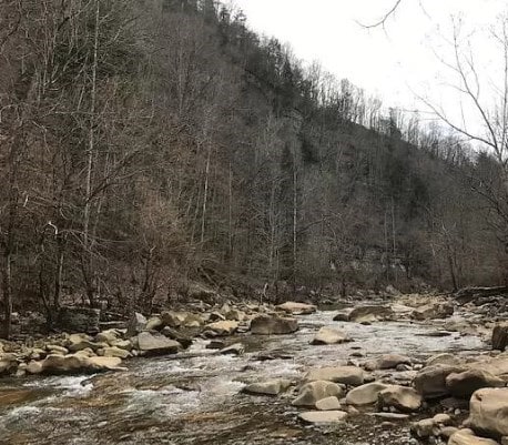 LOT21 E Bobcat Ln, Wilder, TN 38589 - photo 8