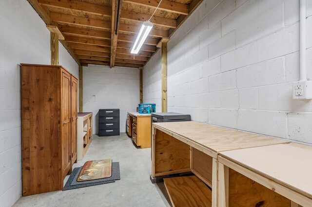 unfinished basement featuring concrete block wall