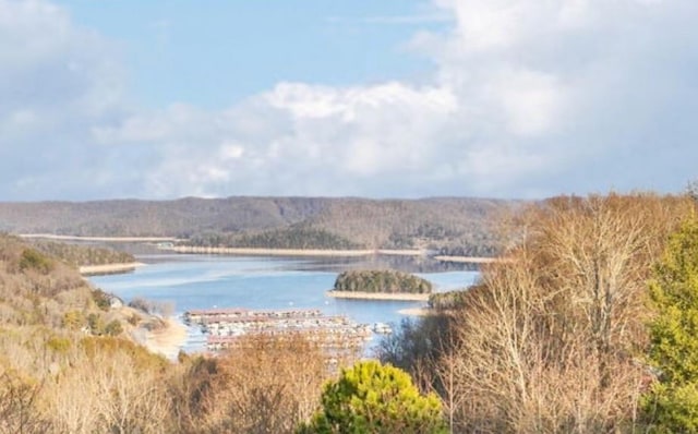 7100 Dale Ridge Rd, Lancaster, TN 38569 - water view with a heavily wooded area