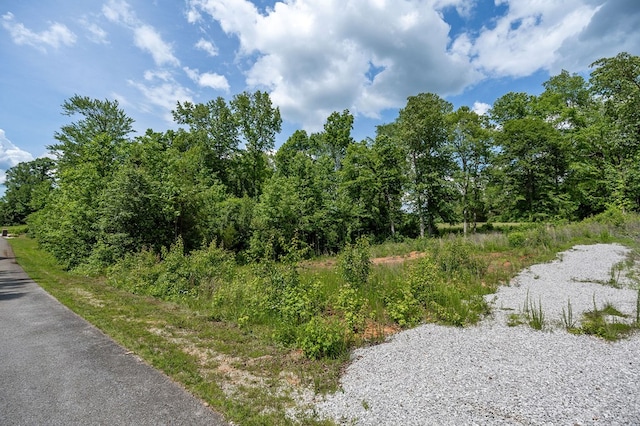 00 Oak Crest Dr, Sparta, TN 38583