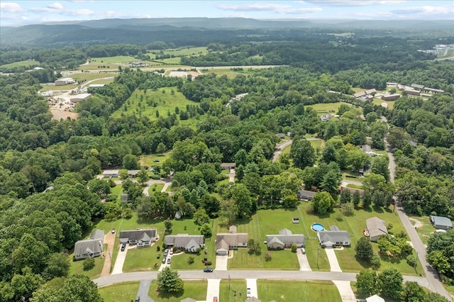 448 Hillary Ct, Cookeville, TN 38506 - photo 25
