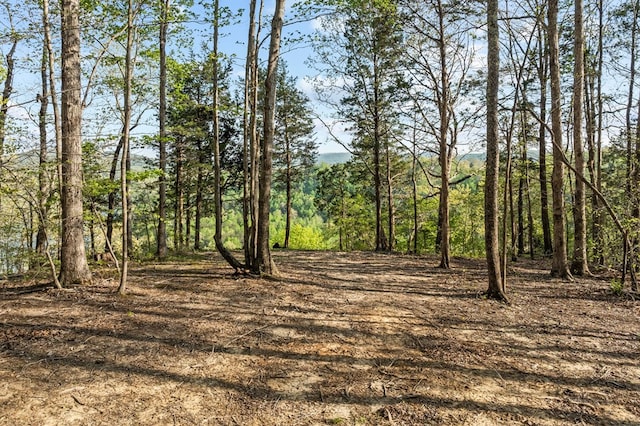 4986 Robbinstown Rd, Byrdstown, TN 38549