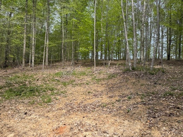 4986 Robbinstown Rd, Byrdstown, TN 38549