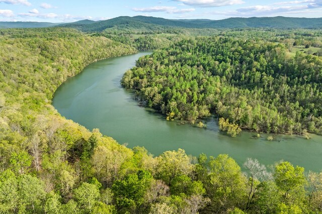 4986 Robbinstown Rd, Byrdstown, TN 38549
