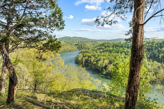 4986 Robbinstown Rd, Byrdstown, TN 38549
