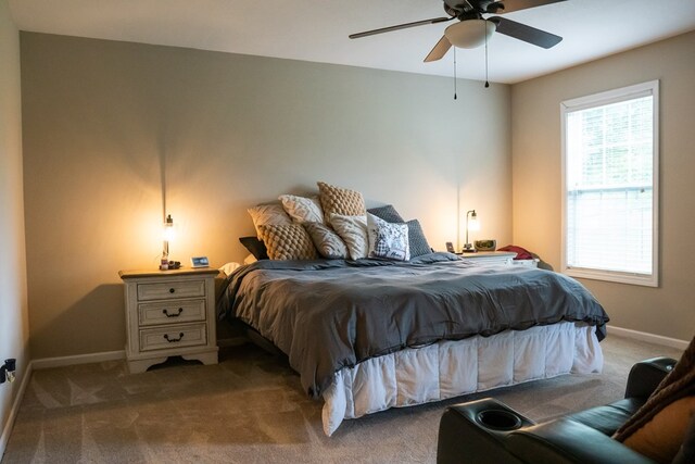 134 Bradford Dr, Sparta, TN 38583 - photo 17