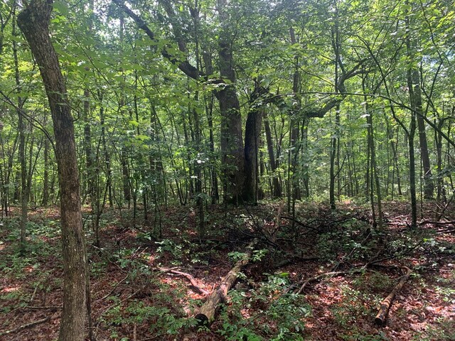 693 Stone Creek Trl, Spencer, TN 38585 - photo 12