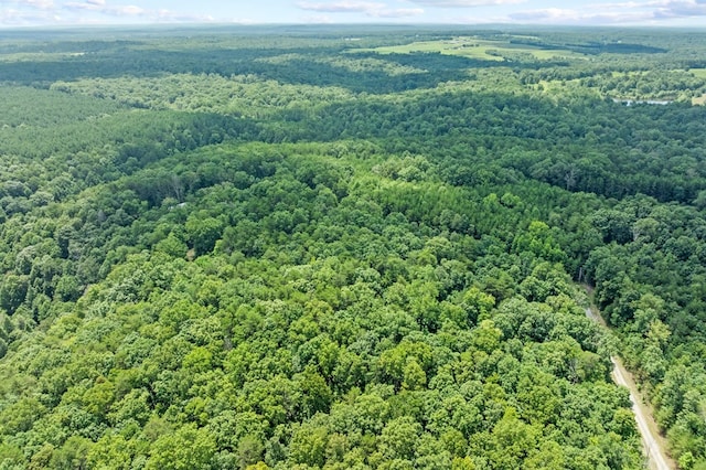 693 Stone Creek Trl, Spencer, TN 38585 - photo 13