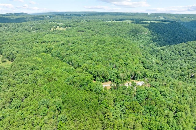 693 Stone Creek Trl, Spencer, TN 38585 - photo 15