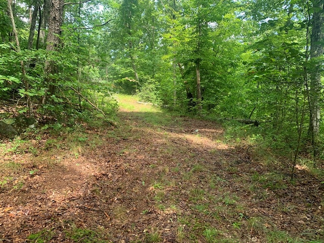 693 Stone Creek Trl, Spencer, TN 38585 - photo 11