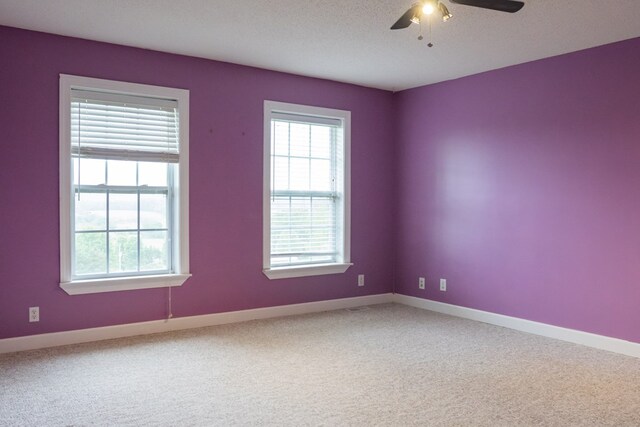 652 Mackie Rd, Sparta, TN 38583 - photo 22