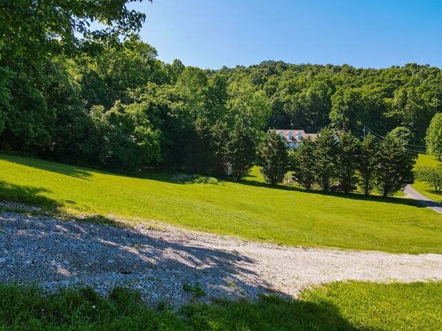 652 Mackie Rd, Sparta, TN 38583 - photo 54