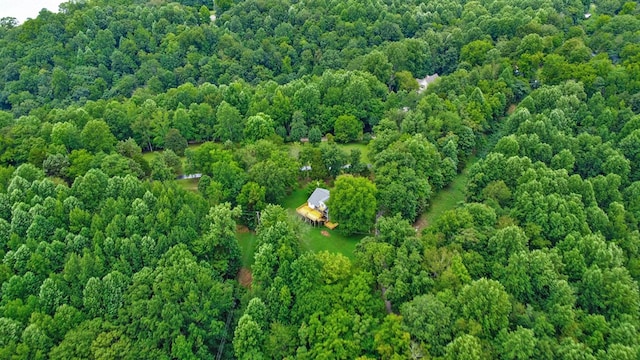 676 Sunny Point Rd, Baxter, TN 38544 - photo 44