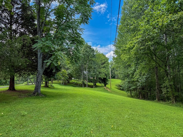 676 Sunny Point Rd, Baxter, TN 38544 - photo 30