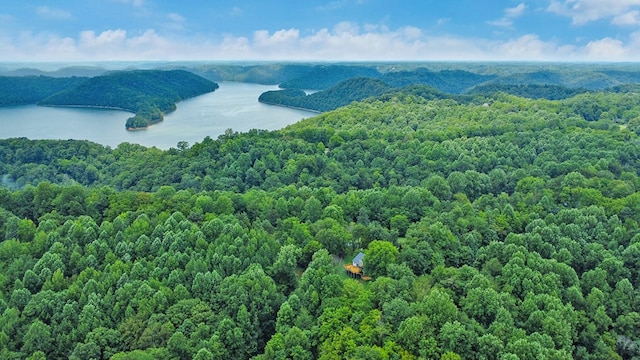 676 Sunny Point Rd, Baxter, TN 38544 - photo 43