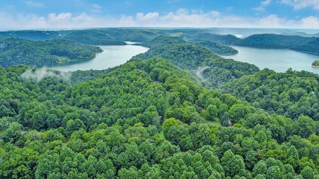 676 Sunny Point Rd, Baxter, TN 38544 - photo 42