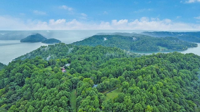 676 Sunny Point Rd, Baxter, TN 38544 - photo 39