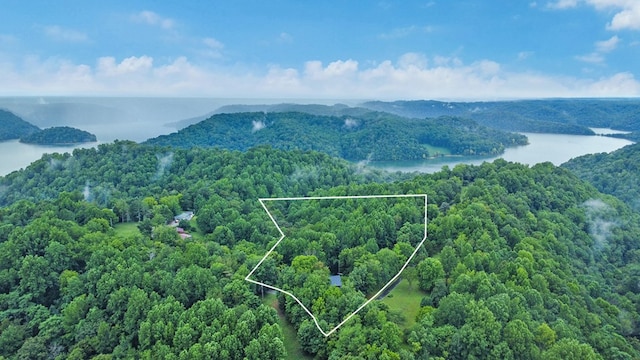 676 Sunny Point Rd, Baxter, TN 38544 - photo 36