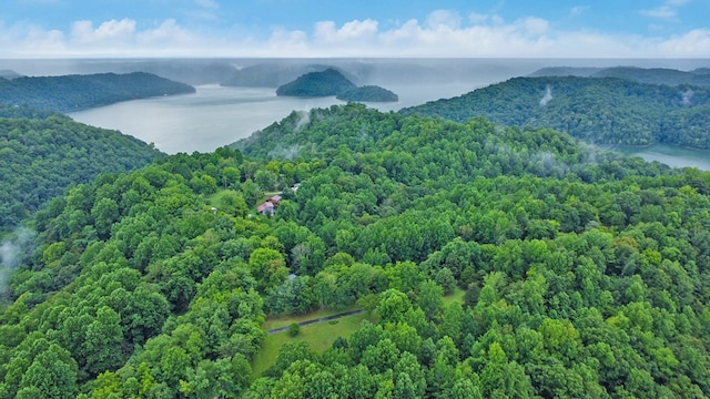 676 Sunny Point Rd, Baxter, TN 38544 - photo 41