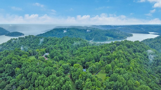 676 Sunny Point Rd, Baxter, TN 38544 - photo 38