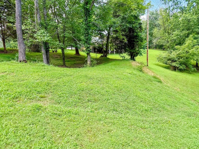 676 Sunny Point Rd, Baxter, TN 38544 - photo 35