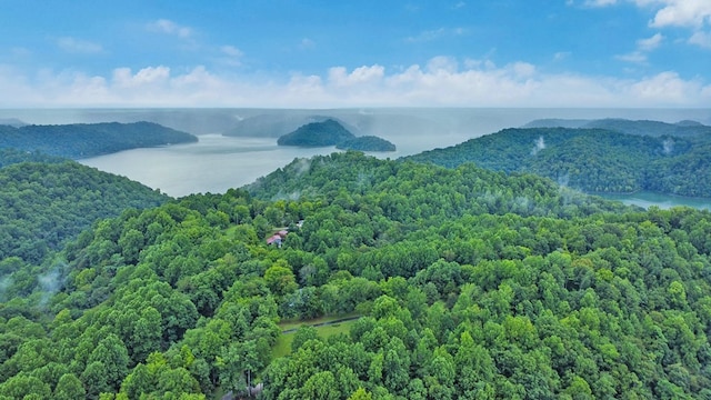 676 Sunny Point Rd, Baxter, TN 38544 - photo 40