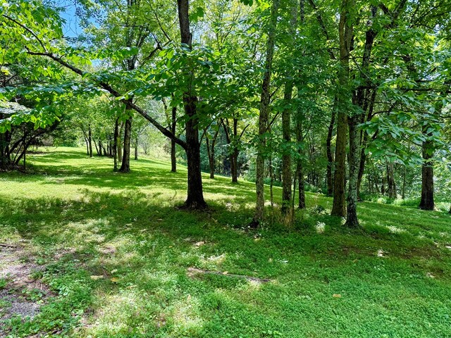 676 Sunny Point Rd, Baxter, TN 38544 - photo 28