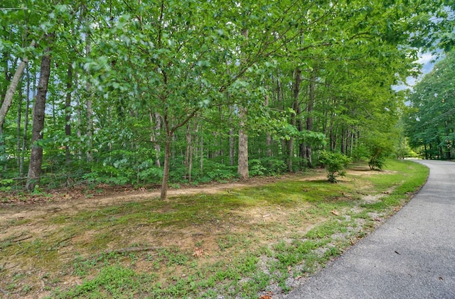 0 Huckleberry Dr, Jamestown, TN 38556