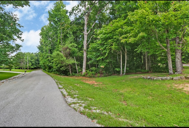 0 Huckleberry Dr, Jamestown, TN 38556
