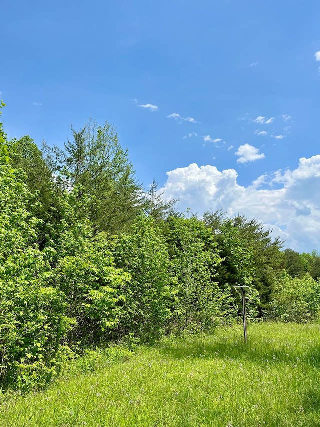 112B Dale Ln, Hilham, TN 38568