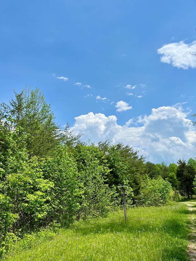 112B Dale Ln, Hilham, TN 38568