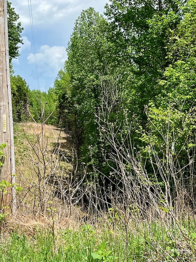 112B Dale Ln, Hilham, TN 38568