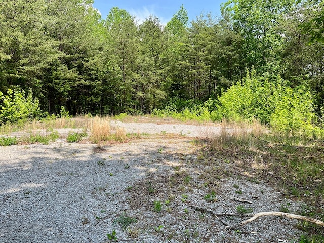 112B Dale Ln, Hilham, TN 38568